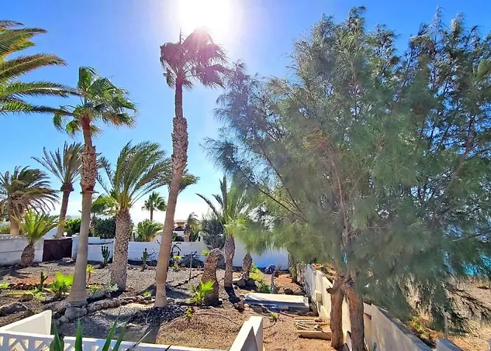 Апартаменты Casa Perrito Gris *